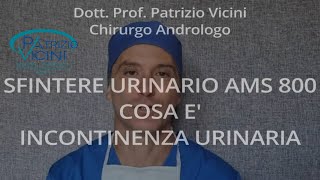 Sfintere urinario Ams 800Cosa èIncontinenza urinariaUrologo RomaUrologiaProf Patrizio Vicini [upl. by Earazed]