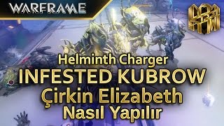 Warframe  Infested Kubrow Nasıl Yapılır  Helminth Charger [upl. by Esinereb]