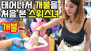 한국의 수산시장을 처음가본 스위스 산골 소녀의 반응  한국 3 [upl. by Marilin]