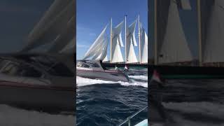 spectacular ATLANTIC schooner with allthe sail on⛵⚓💪sailor schooner classicboat [upl. by Ainesell]