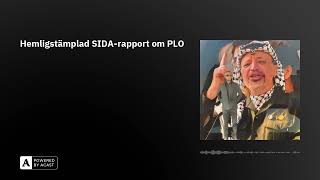 Hemligstämplad SIDArapport om PLO [upl. by Fionnula]