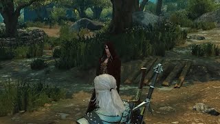 If You See Hooded Women In Toussaint DO THIS  Witcher 3 [upl. by Dlanger532]