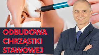 Regeneracja i odbudowa chrząstki stawowej  co możemy a czego nie możemy zrobić [upl. by Woodley444]