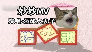 【酒酿大丸子】傻猪猪之歌MV视频 [upl. by Camilia668]