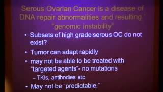 The Future of Ovarian Cancer Treatment [upl. by Aneloaup805]