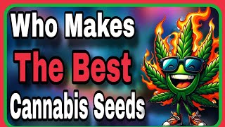 Quest For The Best Cannabis Strain Fanatic Solfire Gardens [upl. by Tuppeny901]