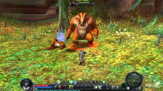 Aion Gameplay Asmodian Templar PvE combat  MMO HD TV 1080p [upl. by Ycniuq]