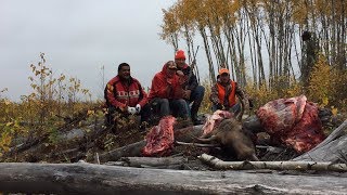 2017 Saskatchewan Moose Hunt [upl. by Leryt447]