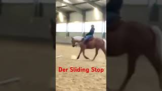 Wie lernst du und dein Pferd den Sliding Stop horse equestrian westernreiten pferde riding [upl. by Aivon]