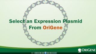 Expression Plasmids for Every Gene  ReadytoTransfect [upl. by Kakalina131]