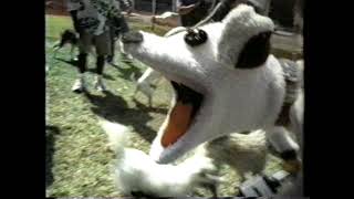 Vintage Petscom sock puppet commercial  2000 [upl. by Zeph]