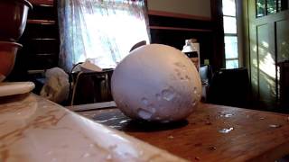 Preparing Giant Puffballs [upl. by Nilknarf]