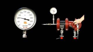 Victaulic Style 31 Coupling vs Flange  Pressure Test [upl. by Rochemont]