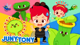 Why Do They Eat Bugs  More Bug Songs  Insect Songs for Kids  Animal Song  JunyTony [upl. by Tahp]