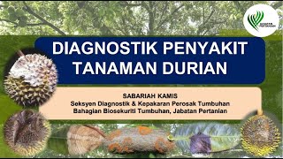 DIAGNOSTIK PENYAKIT TANAMAN DURIAN [upl. by Anigroeg]