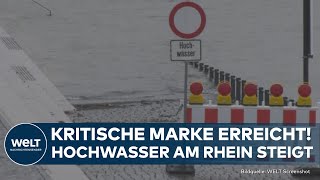 HOCHWASSER Kritische Marke erreicht RheinPegelstand steigt weiter  Schifffahrt eingeschränkt [upl. by Aynot]