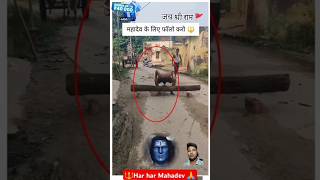 wait for Last 😱🔱 Har har Mahadev 🙏🏻 youtubeshorts trending instagrammemes memes [upl. by Richardson]