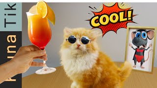 Kluna Tik amp Tom cat eating Smoothies ASMR mukbang 🍹 Kluna Tiks FAN [upl. by Elle]