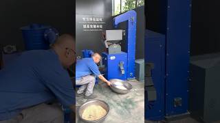 300kg Per Hour Mini Rubber Roller Rice Milling Machine 7in1 Multifunctional rubberroller ricemill [upl. by Aleak276]