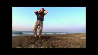 Dance on Whistle Baja  Beach Version [upl. by Nalra]