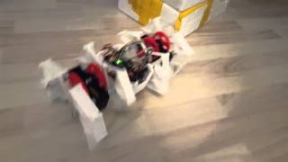 The Beest  first walk A 3D printed robotic walker [upl. by Quartus]