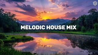 Melodic house mix 2024  MEDUZA Cassian Cristoph [upl. by Clere646]