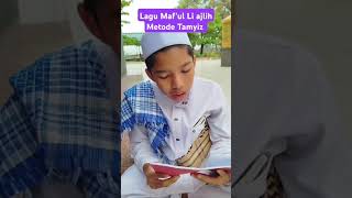 Lagu Maful Li ajlih [upl. by Tterej]