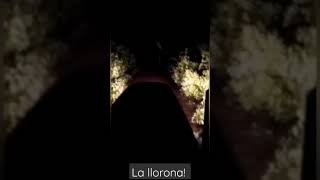 la llorona es grabada en Chile [upl. by Rhody]