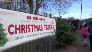 Real Christmas Trees For Sale Endcliffe Park Sheffield [upl. by Eelhsa]