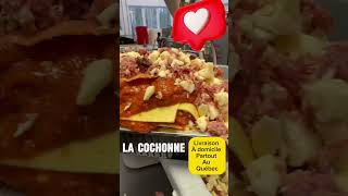 lasagnelacochonnevideo [upl. by Gavriella196]