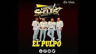 EL PULPOLos ShelesEn Vivo [upl. by Haelahk121]