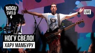 Ногу Свело  Хару Мамбуру Live [upl. by Ivanah]