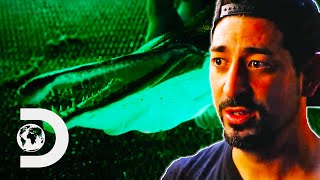 Josh And The Team Need 200 Pounds Of Alligator Gar  Deadliest Catch Bloodline [upl. by Mylo]