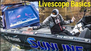 Actual Garmin Livescope Catching Bass Livescope Screen Footage [upl. by Gauldin]