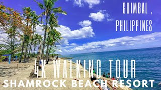 SHAMROCK BEACH RESORT 4K WALKING TOUR GUIMBAL PHILIPPINES [upl. by Nehtanoj]