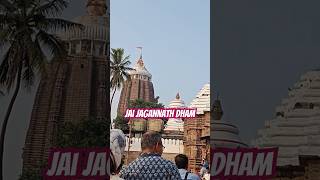 JAGANNATH Dham Puri jagannath jagannathtemple jagannathpuri youtubeshorts purijagannadh shorts [upl. by Chaille162]