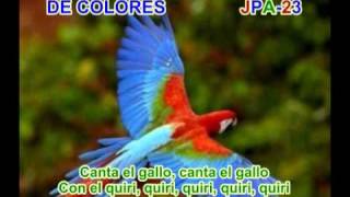 DE COLORES  SPANISH TRADITIONAL SONG [upl. by Dnomar]