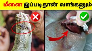 😱கெட்டுப்போன மீனை கண்டுபிடிப்பது எப்படி   How to buy fresh fish in market  multifactsintamil [upl. by Enitsyrhc919]