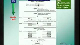 Techniques of Genetic Analysis Molecular Biology [upl. by Jackie337]