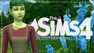 The Sims 4 Plant Sim Challenge 1  CREATING A PLANTSIM [upl. by Inobe]