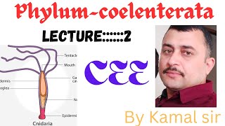 Phylum coelenterata  lecture—2 by Nepali teacher subscribe [upl. by Gnort979]