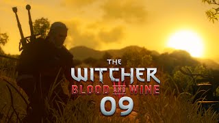 WITCHER 3 BLOOD amp WINE 009  Geralt Monsterschlächter [upl. by Enaht]