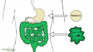 Tri Active Biotics Prebiotic Probiotic Combination [upl. by Tihom833]