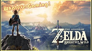 LP The Legend of Zelda Breath of the Wild pt 12 Wii U [upl. by Adnilasor]