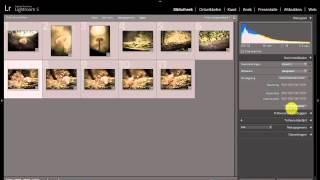 Lightroom uitleg deel 4 Bibliotheek [upl. by Enitsed545]