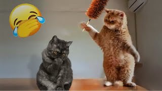 New Funny Cats and Dogs Videos 😘🤣 Funny Animal Moments 😍 [upl. by Murray]