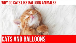 Cats amp Balloon Animals A Poppable Playtime [upl. by Aikyn]