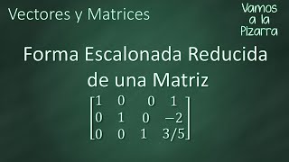 Matrices Introducción  Conceptos básicos [upl. by Shauna]