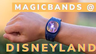 What Do MagicBands Do at Disneyland [upl. by Zetnauq]