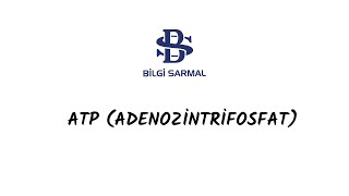 CANLILARIN YAPISINDAKİ TEMEL BİLEŞİKLER  ATP  TYT BİYOLOJİ  9SINIF BİYOLOJİ [upl. by Nillok204]